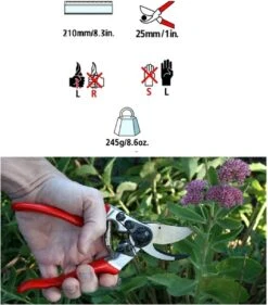 Felco 2 + GRATIS Felco Handschoenen In Cadeauverpakking -Merkloos Winkel 1056x1200