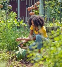 GARDENA - ExpertCut - Snoeischaar - 22 Diameter Tak -Merkloos Winkel 1116x1200