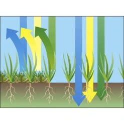 GARDENA EVC 1000 Verticuteermachine - Werkbreedte 30 Cm - Werkgebied 600m2 -Merkloos Winkel 1200x1200 179