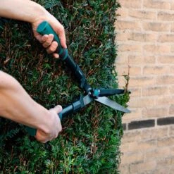 VONROC Snoeischaren Set / Snoeiset - 3-delig - Takkenschaar, Heggenschaar En Snoeischaar 13 VONROC Snoeischaren Set / Snoeiset - 3-delig - Takkenschaar, Heggenschaar En Snoeischaar -Merkloos Winkel 1200x1200 40