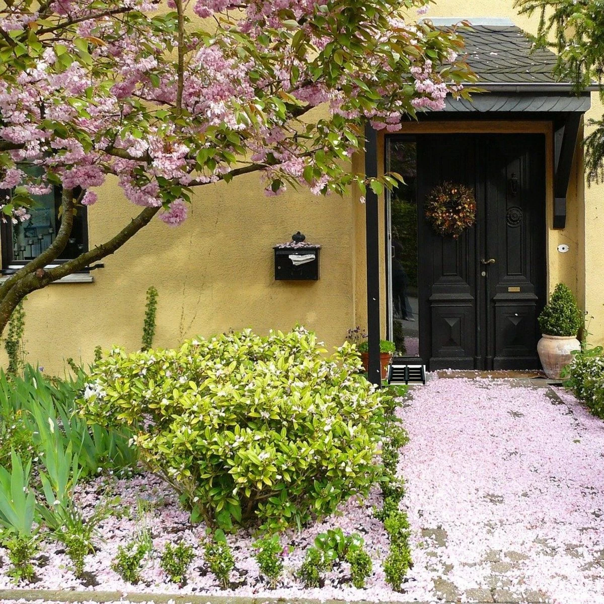 Talen Tools - Voetenveger - Dubbel - Harde Kunststof Borstels 4 Talen Tools - Voetenveger - Dubbel - Harde Kunststof Borstels - Afbeelding 4