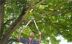 Gardena EasyCut Takkenschaar 68B + Classic Snoeischaar 8754 Display 1stuk 12003-30 -Merkloos Winkel 1200x749 2