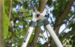 Gardena EasyCut Takkenschaar 68B + Classic Snoeischaar 8754 Display 1stuk 12003-30 -Merkloos Winkel 1200x749