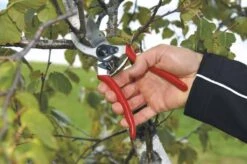 Felco 2 Snoeischaar - Rechtshandig - Max. Knipdiameter 25 Mm - Lengte 215 Mm -Merkloos Winkel 1200x796 1