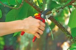 WOLF-Garten Snoeischaar "Premium Plus" RS 4000 - Aambeeld - Max. Knipdiameter 25 Mm - Links- En Rechtshandige - Softinleg Handgreep - Snijhoek 30° - Voor Grote Handen - Vervangbare Messen En Aambeeld 12 WOLF-Garten Snoeischaar "Premium Plus" RS 4000 - Aambeeld - Max. Knipdiameter 25 Mm - Links- En Rechtshandige - Softinleg Handgreep - Snijhoek 30° - Voor Grote Handen - Vervangbare Messen En Aambeeld -Merkloos Winkel 1200x798 3