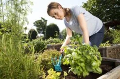 GARDENA Combisystem Tuinhak - Werkbreedte 6,5cm - 25 Jaar Garantie -Merkloos Winkel 1200x799 119