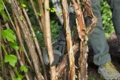 GARDENA - SlimCut Takkenschaar -28mm- Met Hefboommechanisme 12 GARDENA - SlimCut Takkenschaar -28mm- Met Hefboommechanisme -Merkloos Winkel 1200x799 20