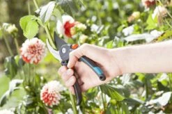 GARDENA Comfort B/M Bypass Snoeischaar - Ø 24mm - Met Sapgeul -Merkloos Winkel 1200x799 41