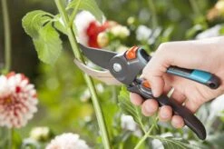 GARDENA Comfort B/M Bypass Snoeischaar - Ø 24mm - Met Sapgeul -Merkloos Winkel 1200x799 42