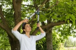 Gardena EasyCut 500 Takkenschaar -Merkloos Winkel 1200x799 44