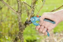 GARDENA Classic Aambeeld Snoeischaar - Ø 18 Mm -Merkloos Winkel 1200x799 8