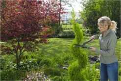 GARDENA PrecisionCut Buxusschaar - Meslengte 18 Cm - Vormsnoeien -Merkloos Winkel 1200x800 100