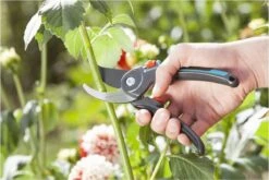 GARDENA Comfort B/M Bypass Snoeischaar - Ø 24mm - Met Sapgeul -Merkloos Winkel 1200x800 111