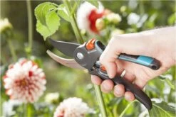 GARDENA Comfort B/M Bypass Snoeischaar - Ø 24mm - Met Sapgeul -Merkloos Winkel 1200x800 113