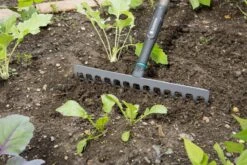 Gardena NatureLine Hark | 36 Cm | FSC 100% - 17106-20 -Merkloos Winkel 1200x800 191