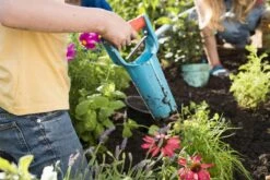 GARDENA Bollenplanter - Diepteaanduiding - Automatische Aardeloslating -Merkloos Winkel 1200x800 192