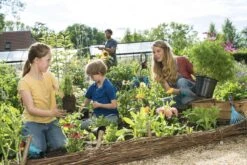 GARDENA Combisystem Bladharkje - Werkbreedte 12 Cm - 25 Jaar Garantie -Merkloos Winkel 1200x800 195