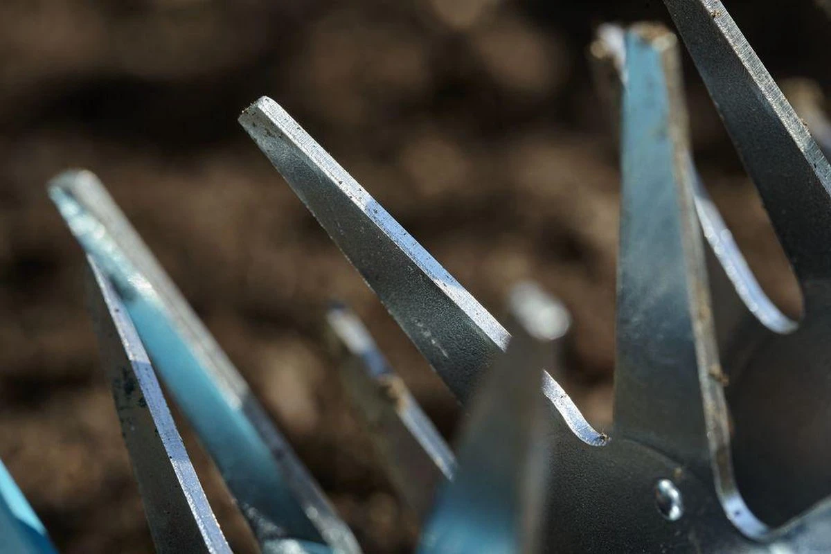 GARDENA Combisystem Tuinfrees - Sterfrees 4 GARDENA Combisystem Tuinfrees - Sterfrees - Afbeelding 4