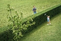 Bosch AHS 50-20 Accu Heggenschaar - Met 1 X 18 V Accu En Lader -Merkloos Winkel 1200x800 22