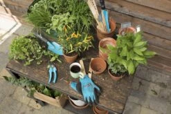 GARDENA - City Gardening - Onkruidsteker -Merkloos Winkel 1200x800 236