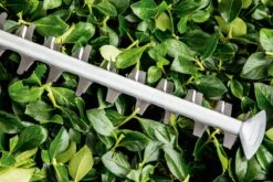 Bosch UniversalHedgeCut 60 Heggenschaar - Op Snoer - Lengte 60 Cm -Merkloos Winkel 1200x800 28