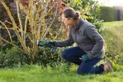 Bosch KEO 18 Accu Tuinzaagmachine - Snijdiameter Van 80 Mm - Met 18 V Accu En Lader -Merkloos Winkel 1200x800 42