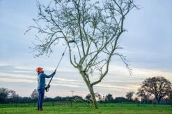 Bosch UniversalHedgePole 18 Heggenschaar Op Steel - Met 18 V Accu En Lader -Merkloos Winkel 1200x800 53