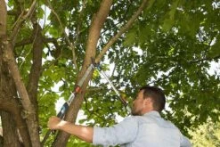 Gardena TeleCut Takkenschaar 650-900 B - Uitschuifbare Armen - Tot Max 90 Cm -Merkloos Winkel 1200x800 62