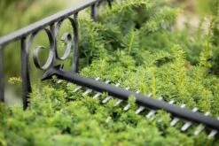 Bosch UniversalHedgeCut 18-55 Heggenschaar - Zonder 18V Accu En Oplader -Merkloos Winkel 1200x800 67