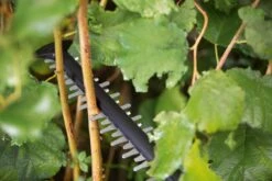 Bosch UniversalHedgeCut 18-55 Heggenschaar - Zonder 18V Accu En Oplader -Merkloos Winkel 1200x800 70