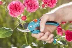 GARDENA - Classic B/S-M Bypass Snoeischaar - Ø 22mm - 25 Jaar Garantie -Merkloos Winkel 1200x800 77