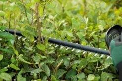 Bosch UniversalHedgeCut 18-50 Heggenschaar - Met 18 V Accu En Lader -Merkloos Winkel 1200x800 86