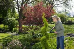 GARDENA PrecisionCut Buxusschaar - Meslengte 18 Cm - Vormsnoeien -Merkloos Winkel 1200x800 96