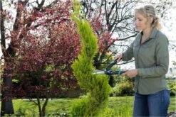 GARDENA PrecisionCut Buxusschaar - Meslengte 18 Cm - Vormsnoeien -Merkloos Winkel 1200x800 97