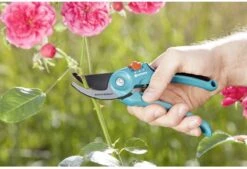 GARDENA - Classic B/S-M Bypass Snoeischaar - Ø 22mm - 25 Jaar Garantie -Merkloos Winkel 1200x820