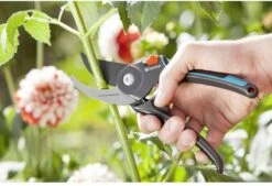 GARDENA Comfort B/M Bypass Snoeischaar - Ø 24mm - Met Sapgeul -Merkloos Winkel 1200x822