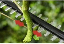 Bosch UniversalHedgePole 18 Heggenschaar Op Steel - Met 18 V Accu En Lader -Merkloos Winkel 1200x823