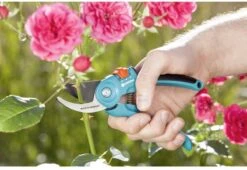 GARDENA - Classic B/S-M Bypass Snoeischaar - Ø 22mm - 25 Jaar Garantie -Merkloos Winkel 1200x825 10