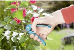 GARDENA - Classic B/S-M Bypass Snoeischaar - Ø 22mm - 25 Jaar Garantie -Merkloos Winkel 1200x825 11