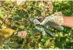 Bosch EasyPrune Accu Snoeischaar - 3.6 V Accu - USB -Merkloos Winkel 1200x825 15