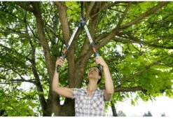 GARDENA - TeleCut Telescopische - Takkenschaar 520-670B - 42 Mm Verstelbare Lengte -Merkloos Winkel 1200x825 6