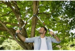 Gardena TeleCut Takkenschaar 650-900 B - Uitschuifbare Armen - Tot Max 90 Cm -Merkloos Winkel 1200x826