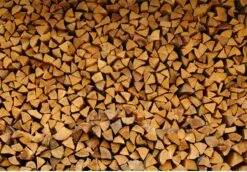 Steko Houtsplijter Voor Grote Blokken - Voor Aanmaakhout & Brandhout - Houtklover - Houtkliever - Splijtwig - Handmatig - Overal Te Gebruiken 1605 Gram - Metaal - Kloofwig - HOGE VOLUMEKORTING -Merkloos Winkel 1200x837 2