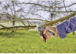 GARDENA - ExpertCut - Snoeischaar - 22 Diameter Tak -Merkloos Winkel 1200x859