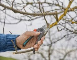 GARDENA - ExpertCut - Snoeischaar - 22 Diameter Tak -Merkloos Winkel 1200x929