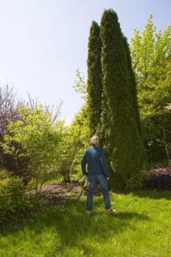 GARDENA TeleCut Heggenschaar - Telescopische Handgrepen Van 70-90 Cm -Merkloos Winkel 799x1200 21