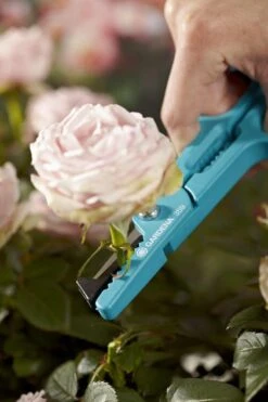 GARDENA Multifunctionele Bloemenschaar Snoeischaar - Lengte 210 Mm - RVS Messen 7 GARDENA Multifunctionele Bloemenschaar Snoeischaar - Lengte 210 Mm - RVS Messen -Merkloos Winkel 799x1200 25