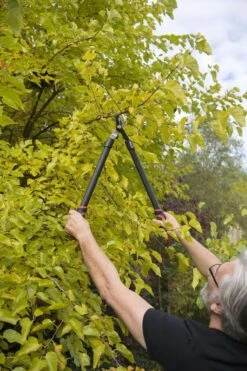 Kreator KRTGR4001 Takkenschaar - 650mm -Merkloos Winkel 800x1200 12