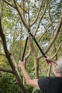 Kreator KRTGR4001 Takkenschaar - 650mm -Merkloos Winkel 800x1200 13