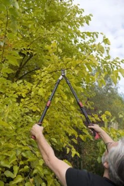 Kreator KRTGR4003 Telescopische Takkenschaar – Jong Hout - Knipdiameter: Ø34 Mm -Merkloos Winkel 800x1200 14